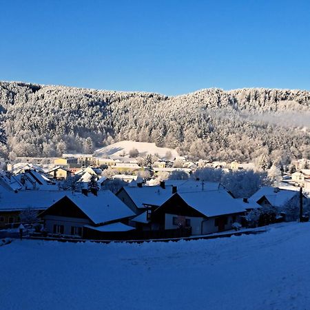 Haus Am Schloss Bleiburg Eksteriør billede