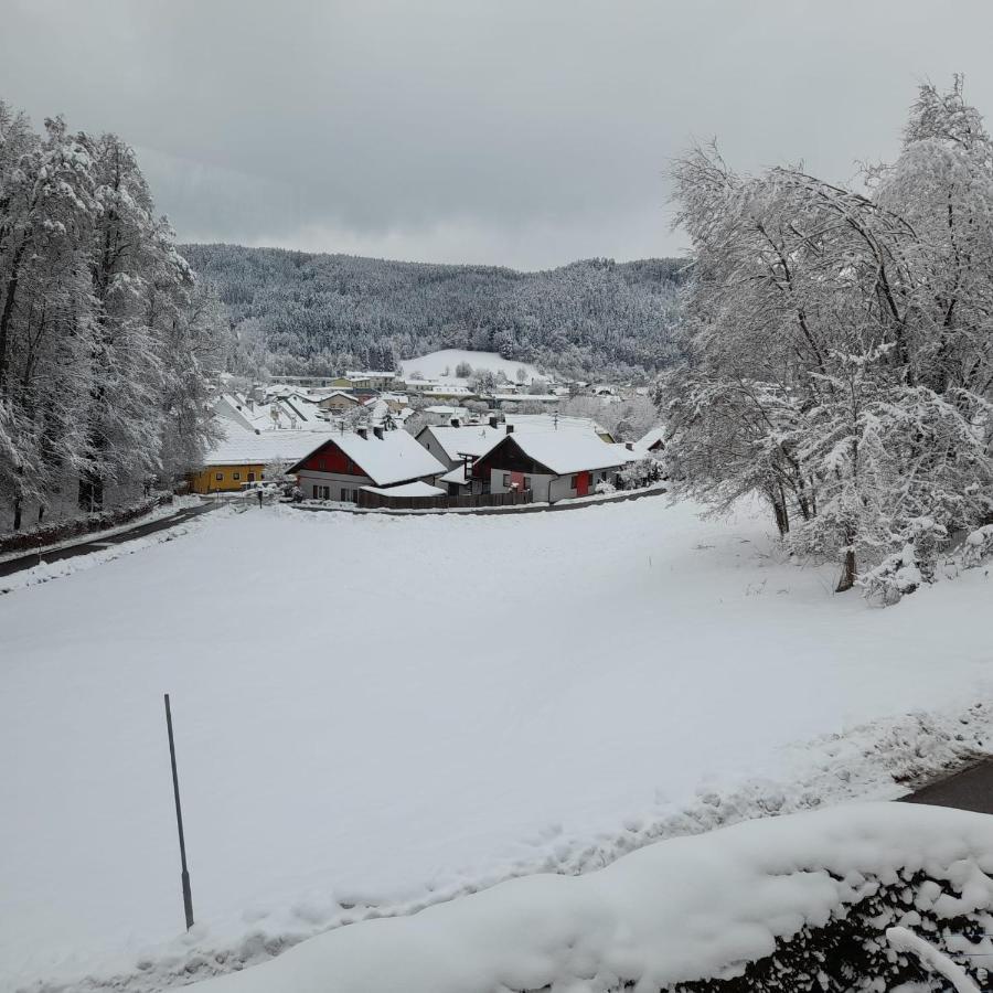 Haus Am Schloss Bleiburg Eksteriør billede