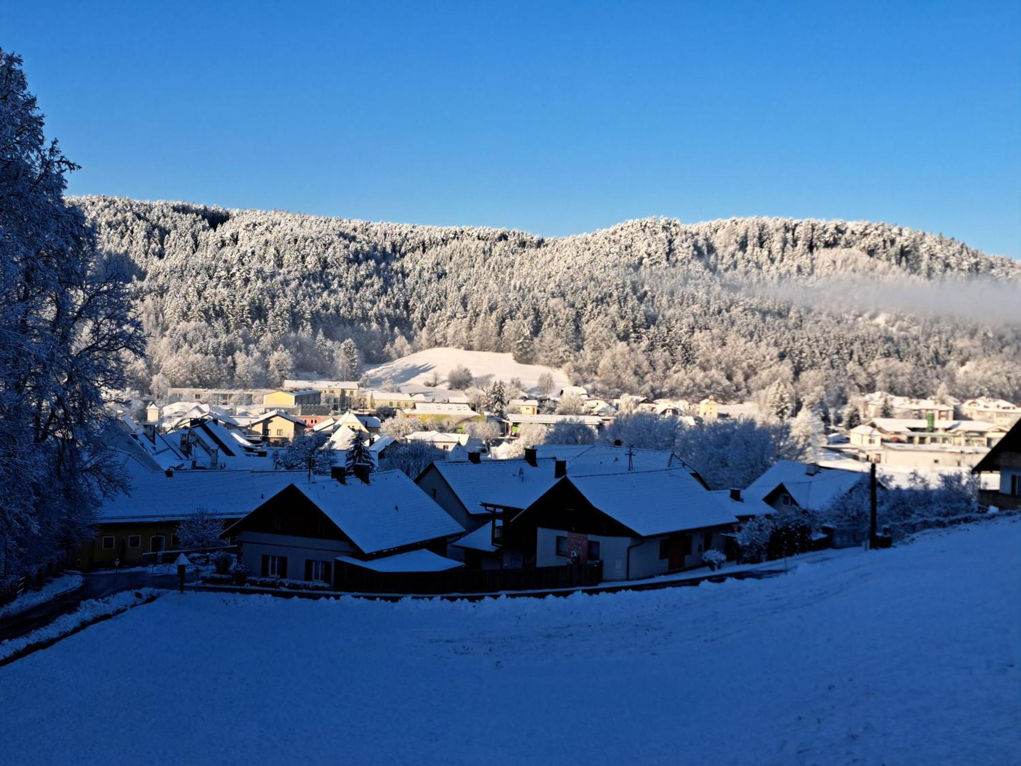 Haus Am Schloss Bleiburg Eksteriør billede
